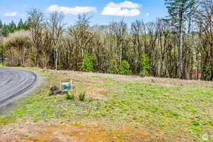 911 Mill Creek, Shelton, WA 98584 - Photo 3