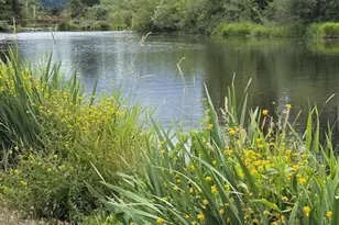 7301 NE 175th St, Kenmore, WA 98028 - Photo 17