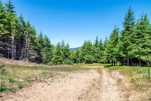 327 Parpala Rd, Naselle, WA 98638 - Photo 33