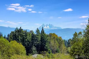 3630 252nd St NE, Arlington, WA 98223 - Photo 37