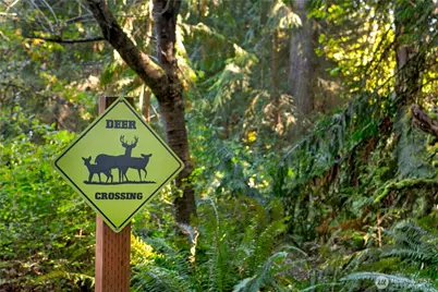 2425 Evergreen Point Road, Medina, WA 98039 - Photo 25