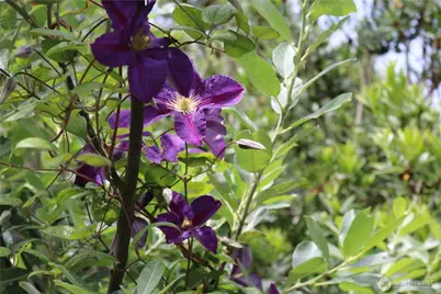 858 Willow Court SW, Ocean Shores, WA 98569 - Photo 29