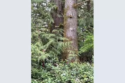 0 Lot 15 W Shore Drive, Lake Cavanaugh, WA 98274 - Photo 1