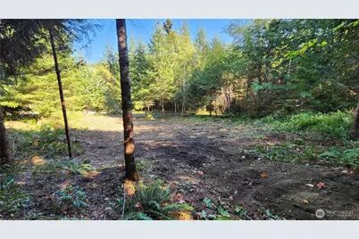 5728 Duane Lane NW, Olympia, WA 98502 - Photo 13