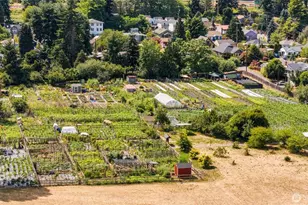 565 S Director, Seattle, WA 98108 - Photo 23