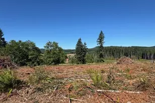 0 Lot 6 Nelson Rd, Winlock, WA 98596 - Photo 1