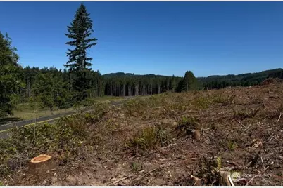 0 Lot 6 Nelson Road, Winlock, WA 98596 - Photo 11