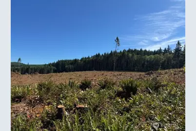 0 Lot 6 Nelson Road, Winlock, WA 98596 - Photo 9