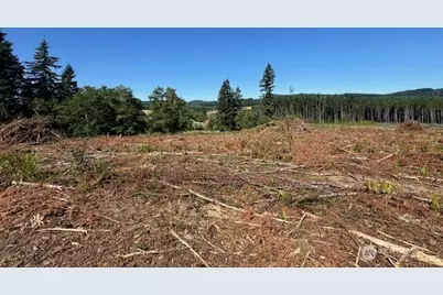 0 Lot 6 Nelson Road, Winlock, WA 98596 - Photo 15