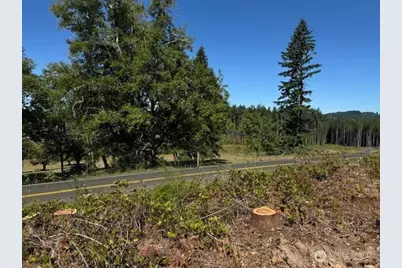 0 Lot 6 Nelson Road, Winlock, WA 98596 - Photo 7