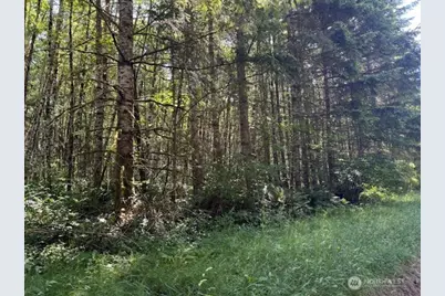 0 Lot 6 Nelson Road, Winlock, WA 98596 - Photo 3