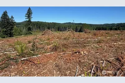 0 Lot 6 Nelson Road, Winlock, WA 98596 - Photo 17