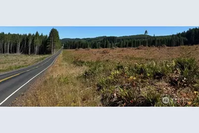 0 Lot 5 Nelson Road, Winlock, WA 98596 - Photo 7