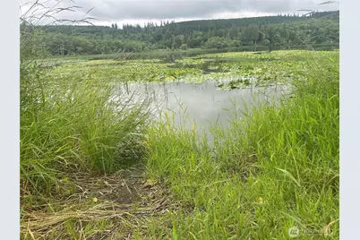 0 Xxxx Skidder Hill Road, Quilcene, WA 98376 - Photo 11