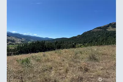 1 A Lundimo Meadows Road, Curlew, WA 99118 - Photo 5