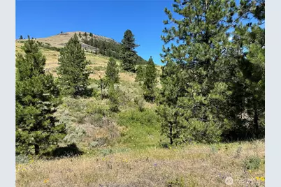 1 A Lundimo Meadows Road, Curlew, WA 99118 - Photo 15