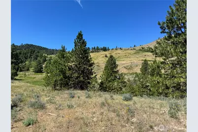 1 A Lundimo Meadows Road, Curlew, WA 99118 - Photo 11