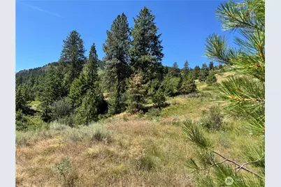 1 A Lundimo Meadows Road, Curlew, WA 99118 - Photo 19