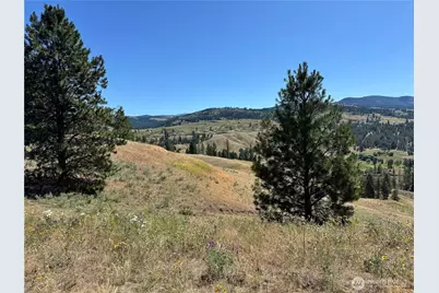 1 A Lundimo Meadows Road, Curlew, WA 99118 - Photo 17