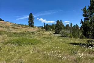 1 A Lundimo Meadows Rd, Curlew, WA 99118 - Photo 1