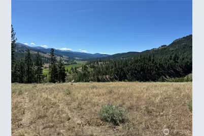 2 B Lundimo Meadows Road, Curlew, WA 99118 - Photo 3