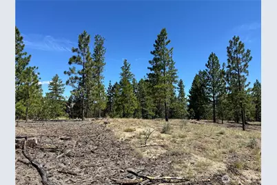 2 B Lundimo Meadows Road, Curlew, WA 99118 - Photo 17