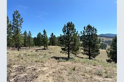 2 B Lundimo Meadows Road, Curlew, WA 99118 - Photo 19