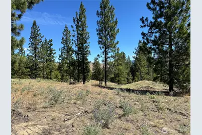 2 B Lundimo Meadows Road, Curlew, WA 99118 - Photo 13