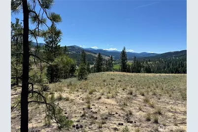 2 B Lundimo Meadows Road, Curlew, WA 99118 - Photo 11