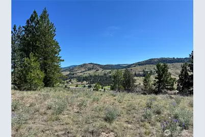 2 B Lundimo Meadows Road, Curlew, WA 99118 - Photo 7