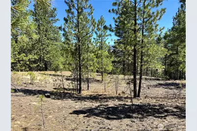 2 B Lundimo Meadows Road, Curlew, WA 99118 - Photo 9