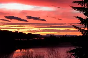 23738 Carlson Pl, Mount Vernon, WA 98274 - Photo 37