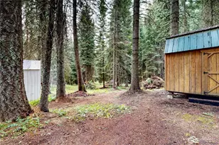 58504 Wildwood Loop, Weston, OR 97886 - Photo 35