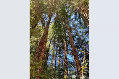 0 Xxx E Balmoral Way, Shelton, WA 98584 - Photo 3