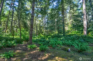 8221 Cedarwood St SE, Tenino, WA 98589 - Photo 23