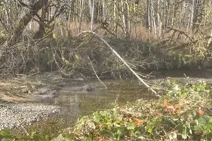 0 Sauk Rd, Rockport, WA 98237 - Photo 1