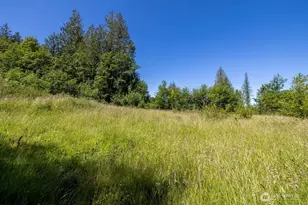 50788 Hwy 112, Port Angeles, WA 98363 - Photo 31