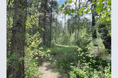 7 Mazama Meadows Lane, Mazama, WA 98833 - Photo 33