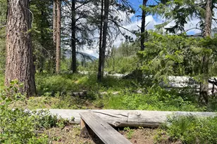 7 Mazama Meadows Ln, Mazama, WA 98833 - Photo 35