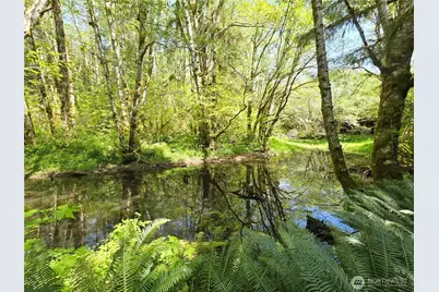 [Address not provided], Forks, WA 98331 - Photo 13