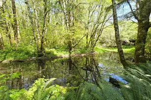 [Address not provided], Forks, WA 98331 - Photo 13