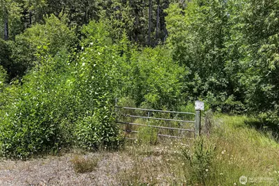 22030 Peissner Road SE, Yelm, WA 98597 - Photo 5