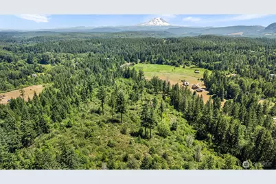 22030 Peissner Road SE, Yelm, WA 98597 - Photo 11