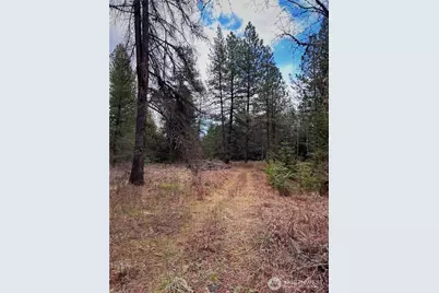 2100 Blk E Eloika Lake Road, Deer Park, WA 99006 - Photo 25