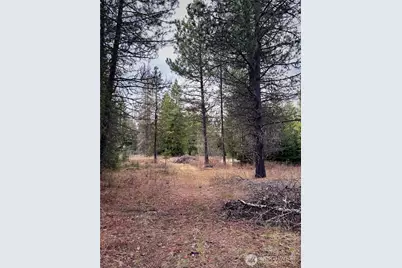 2100 Blk E Eloika Lake Road, Deer Park, WA 99006 - Photo 23