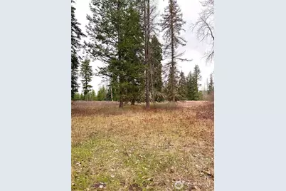 2100 Blk E Eloika Lake Road, Deer Park, WA 99006 - Photo 29