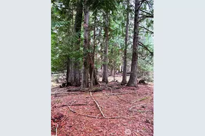 2100 Blk E Eloika Lake Road, Deer Park, WA 99006 - Photo 27