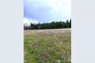 2100 Blk E Eloika Lake Road, Deer Park, WA 99006 - Photo 31