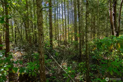 0 45th and Cleveland, Port Townsend, WA 98368 - Photo 7