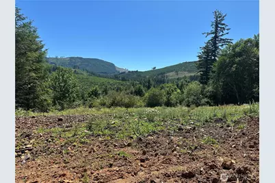 0 Kalama River Road, Kalama, WA 98625 - Photo 1